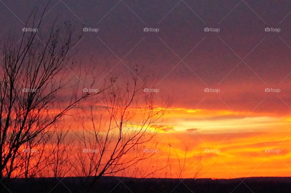 Colorful sunset creates fiery backdrop for tree Silhouette