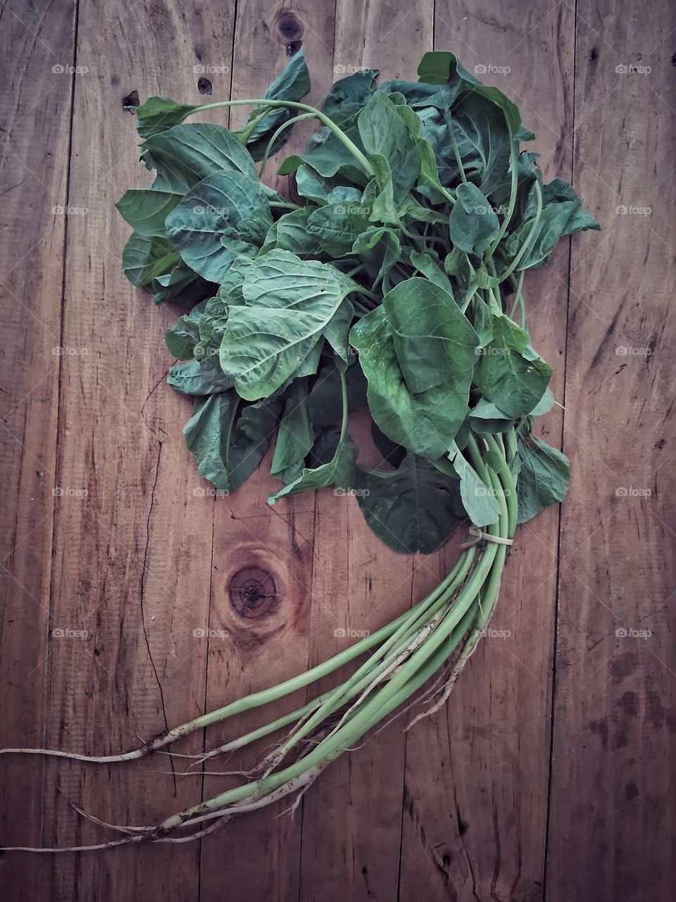 a bunch of fresh spinach just bought at the traditional market