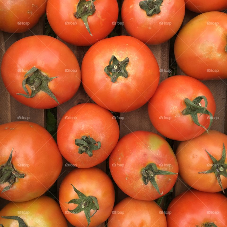 Tomatoes 