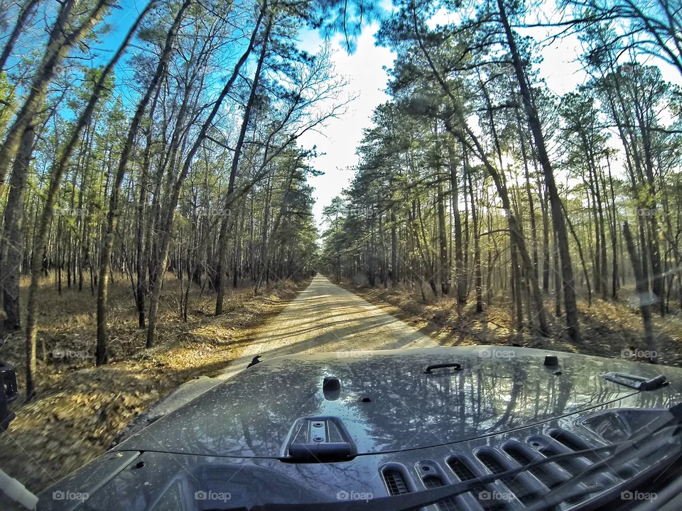 Trails 
