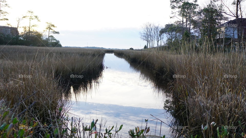 Marsh stream reflection