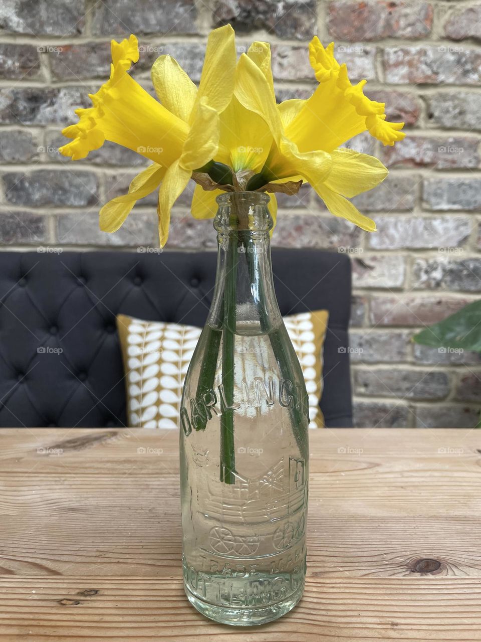 Daffodils in an old bottle for a vase 