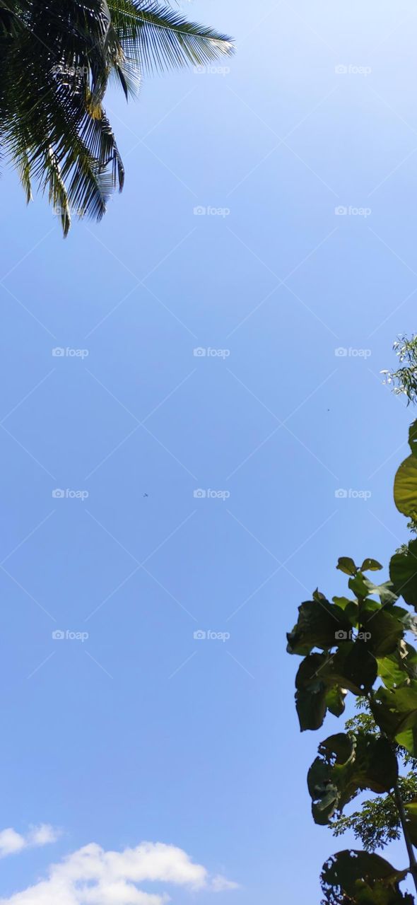 Can you find any special in this image