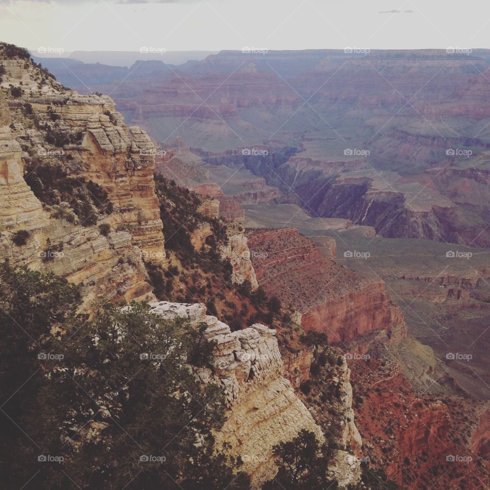 The Grand Canyon . The Grand Canyon 