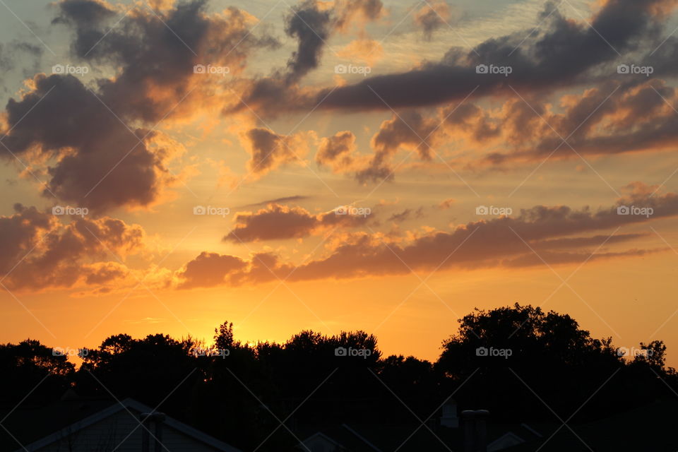 Sunset over tree line