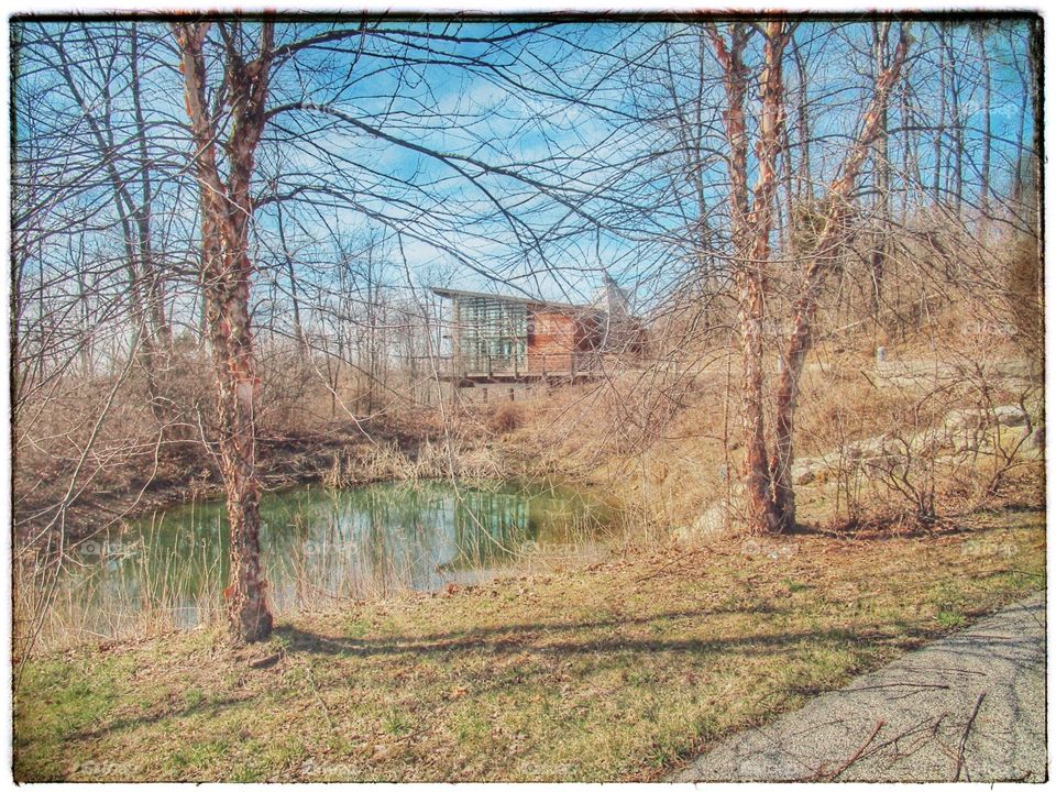 reflection pond view