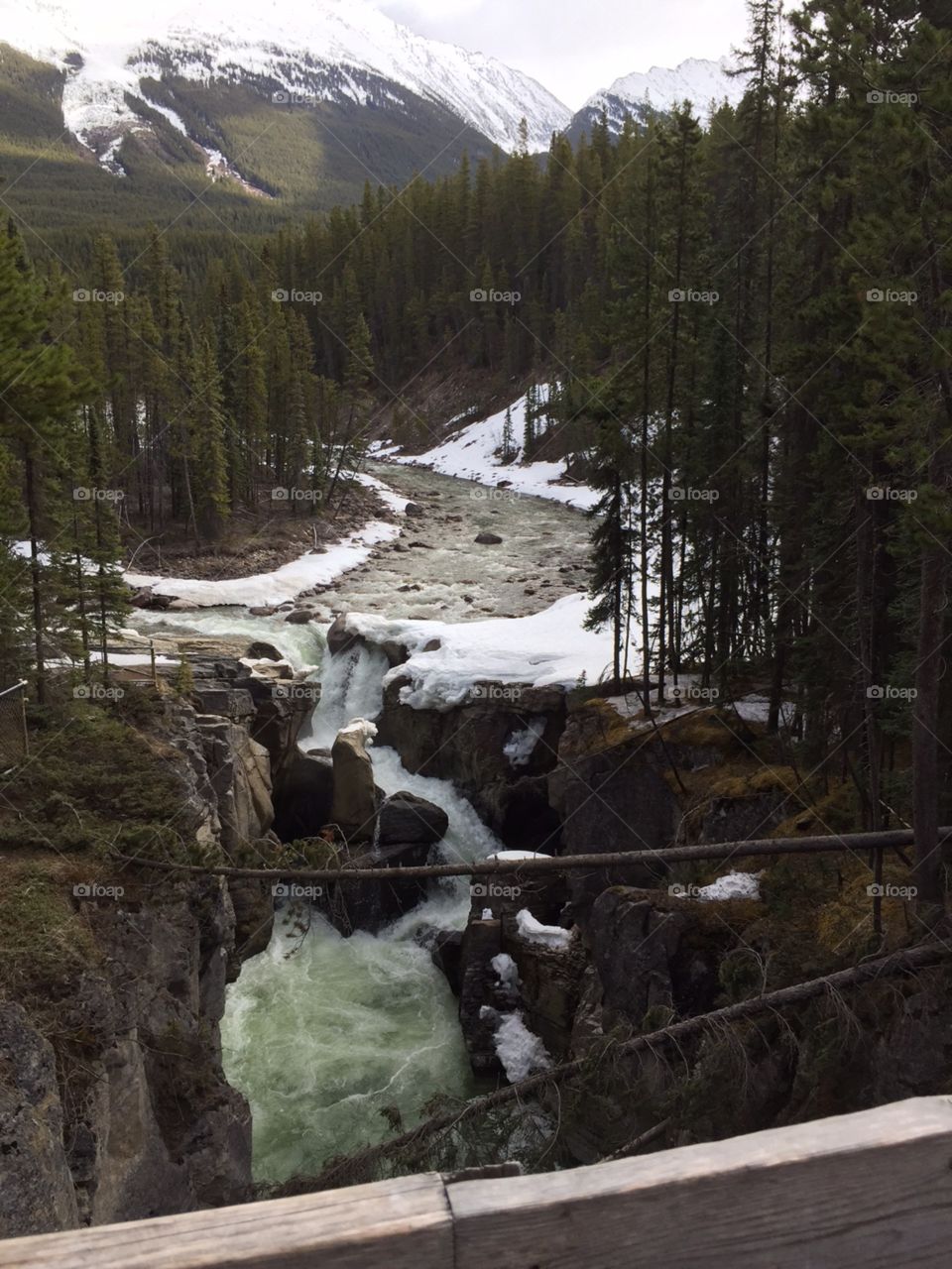 Waterfall . Jasper national forest Canada