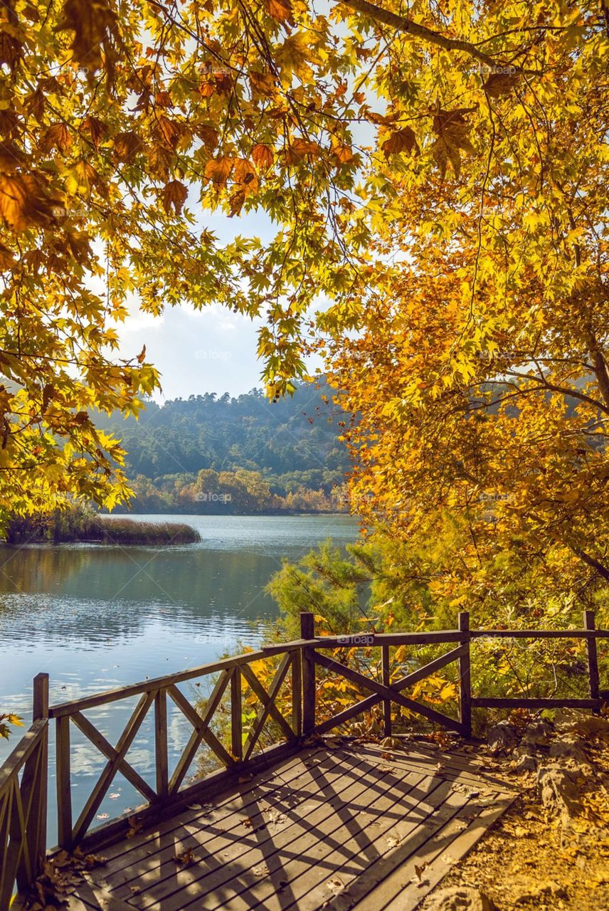 Everything is beautiful and breathtaking on autumn days