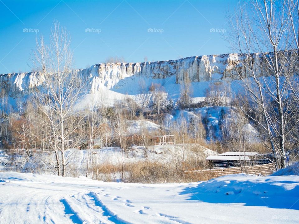 Trees near Rock Formation in Winter