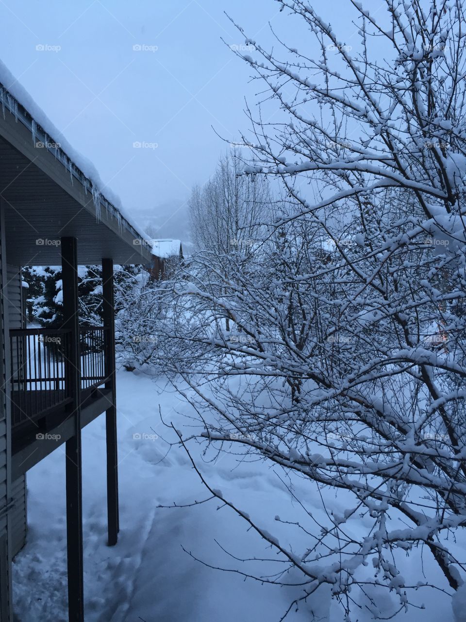 Snowy day in Steamboat Springs, Colorado. 