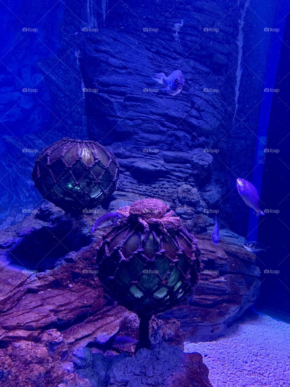 Aquarium Greece #Travel