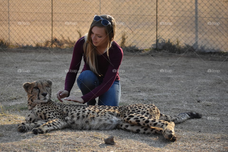 Cindy
Yes, I pet a cheetah.
