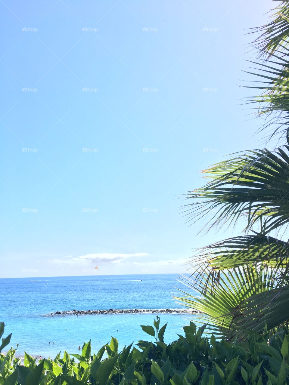 Breezy palm trees against a crystal blue sky and sparkling ocean water.