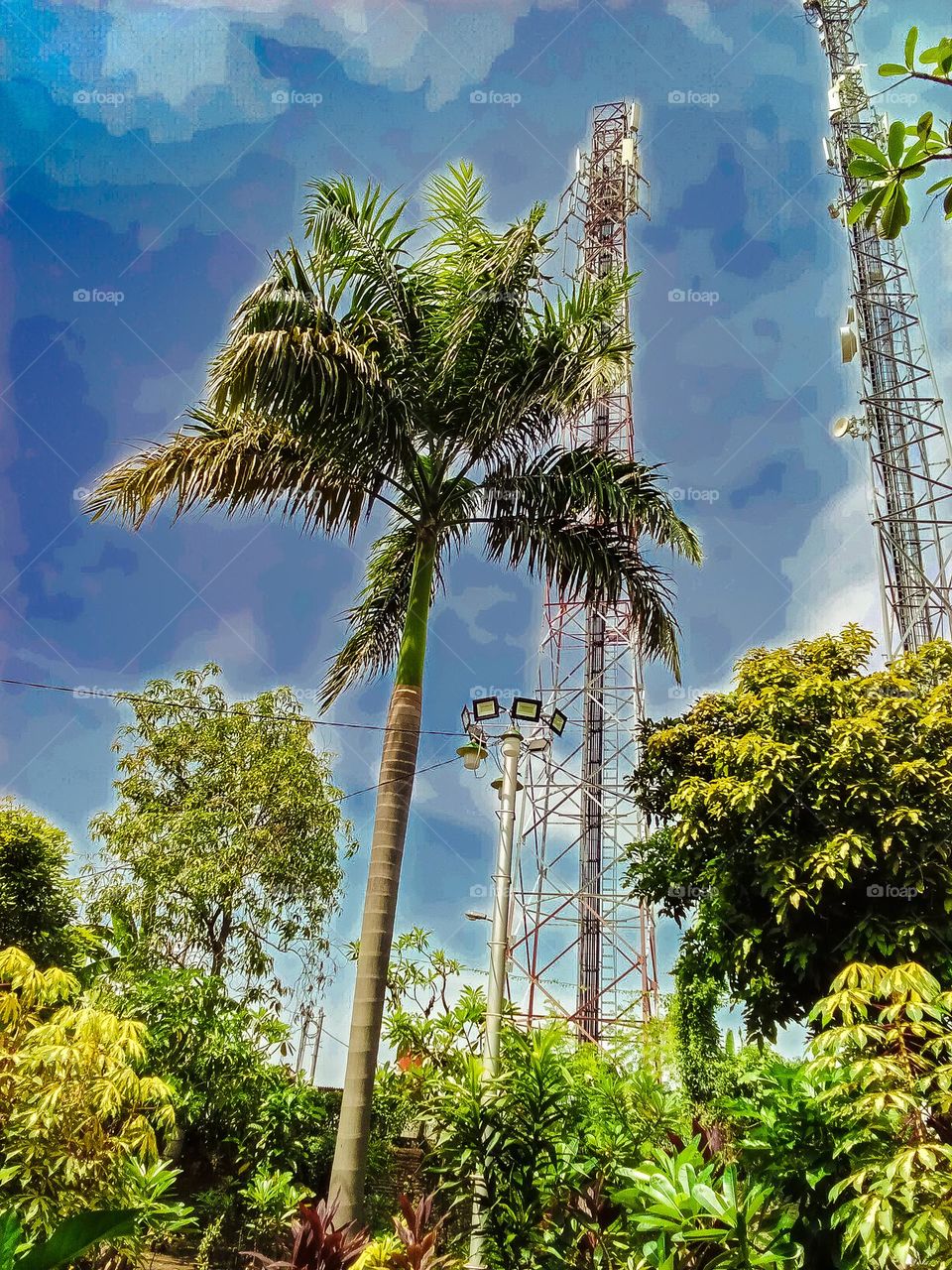 the trees behind the beautiful house