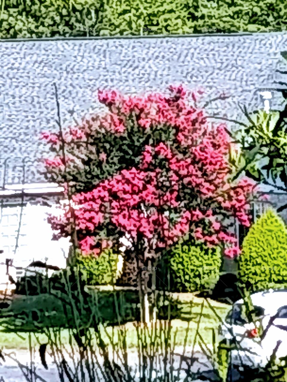 flower tree