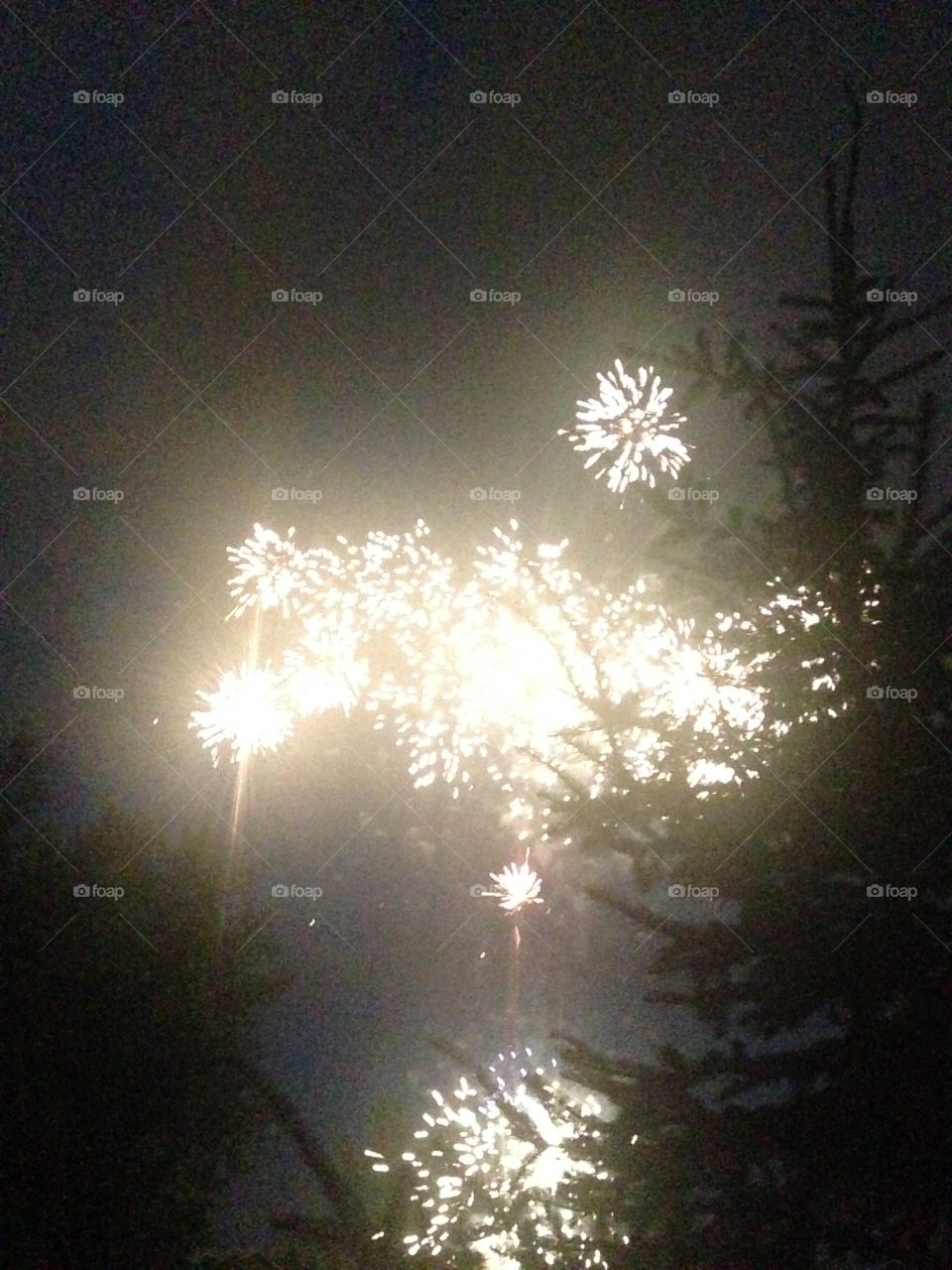 Tree light. Fireworks 