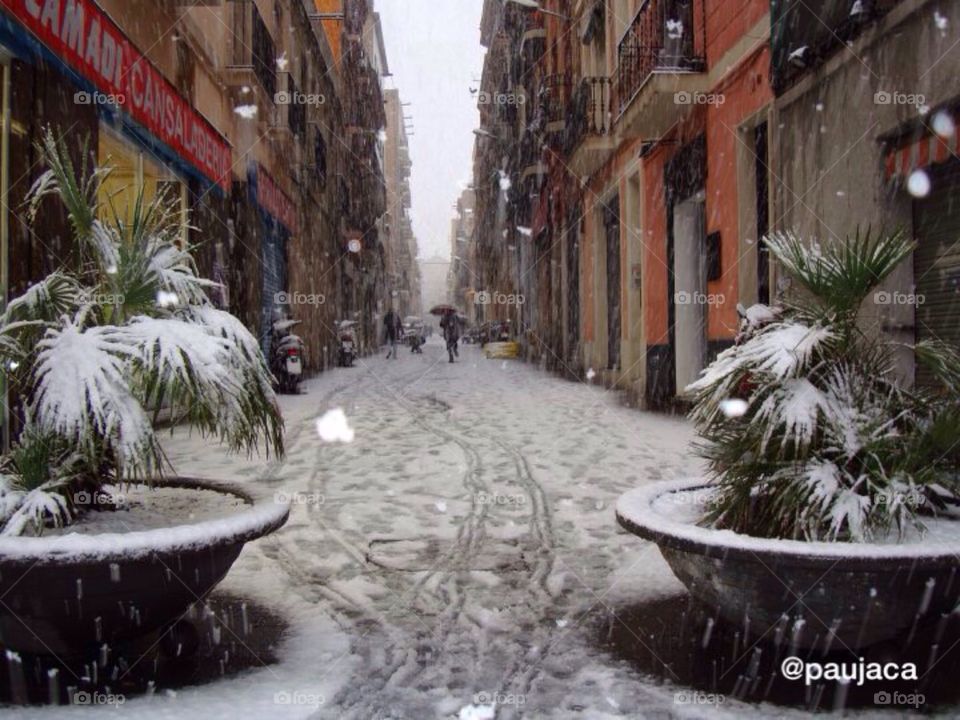 Barcelona nevada.