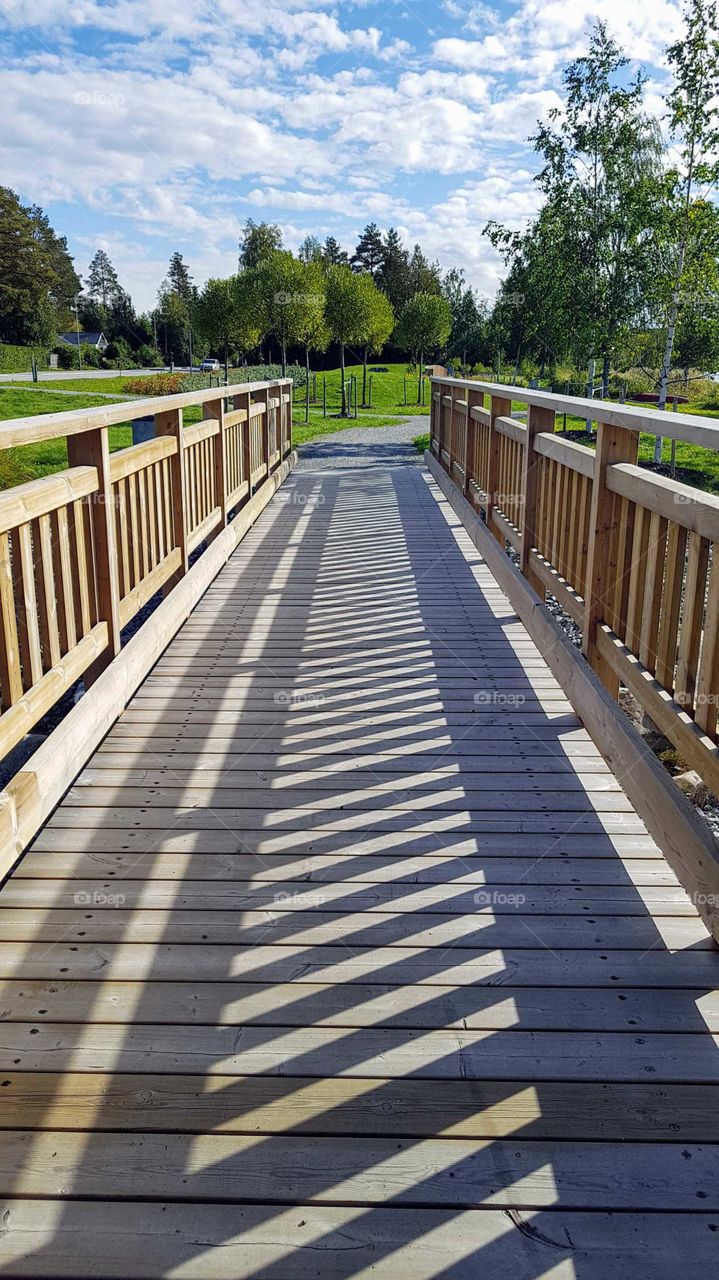 footbridge in the park