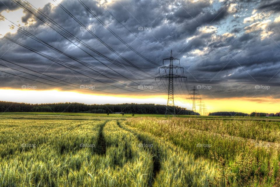 Sunset over the field