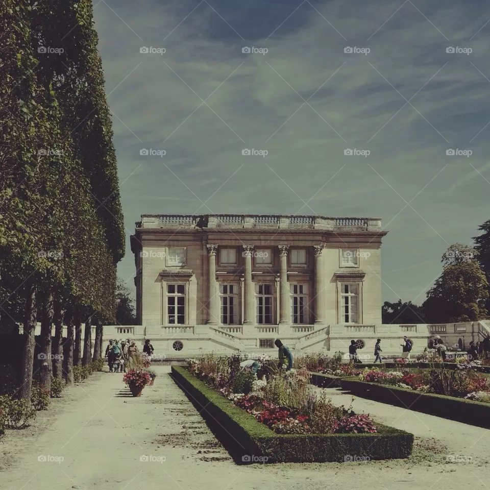 Palace