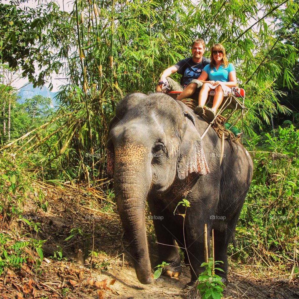 Happy couple sitting on elephant