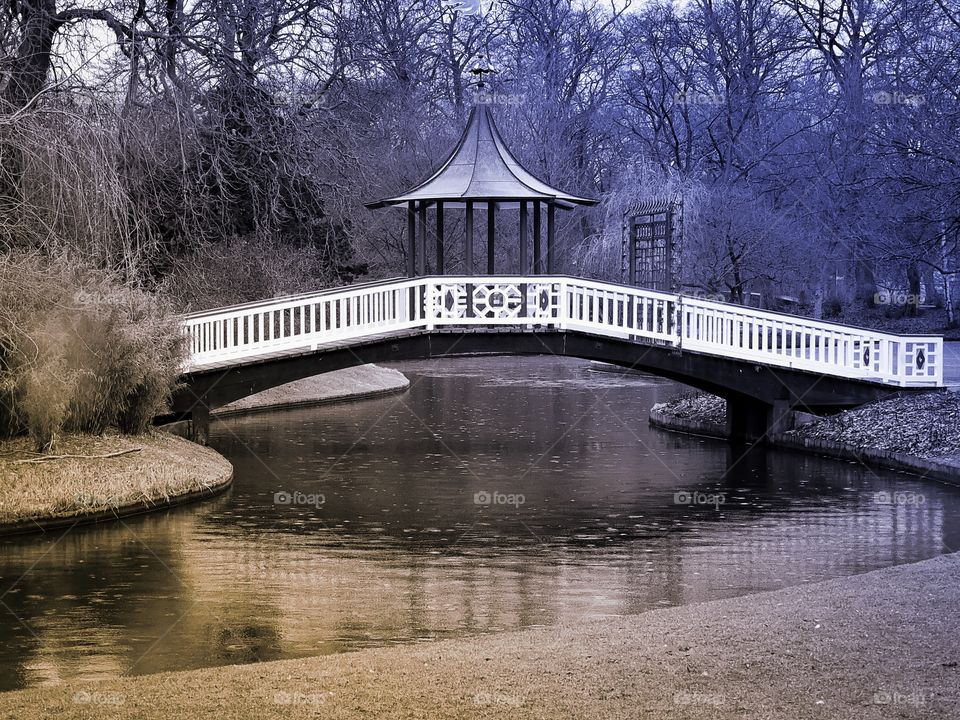 Japanese bridge in Denmark 