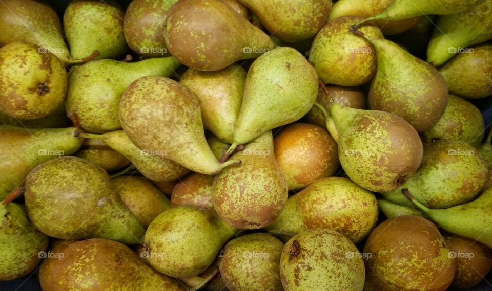 season of pears