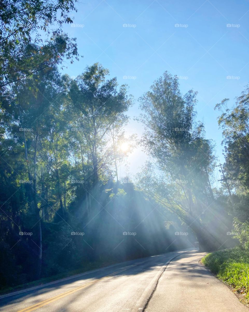 A beleza dos raios da manhã na Estrada Velha de São Paulo!

Com a pista livre, melhor ainda, não?
