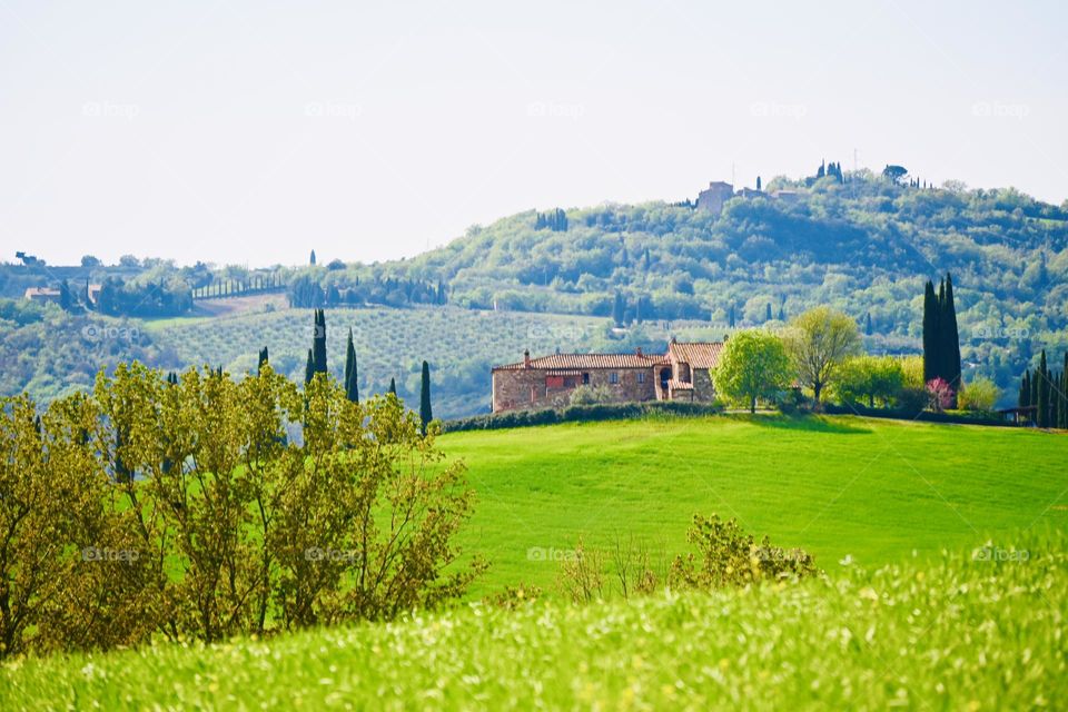 Tuscan landscape 