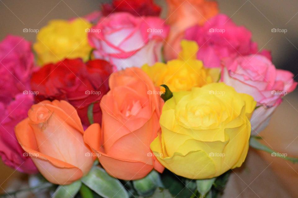 bouquet of colorful roses🌹 yellow orange pink and red