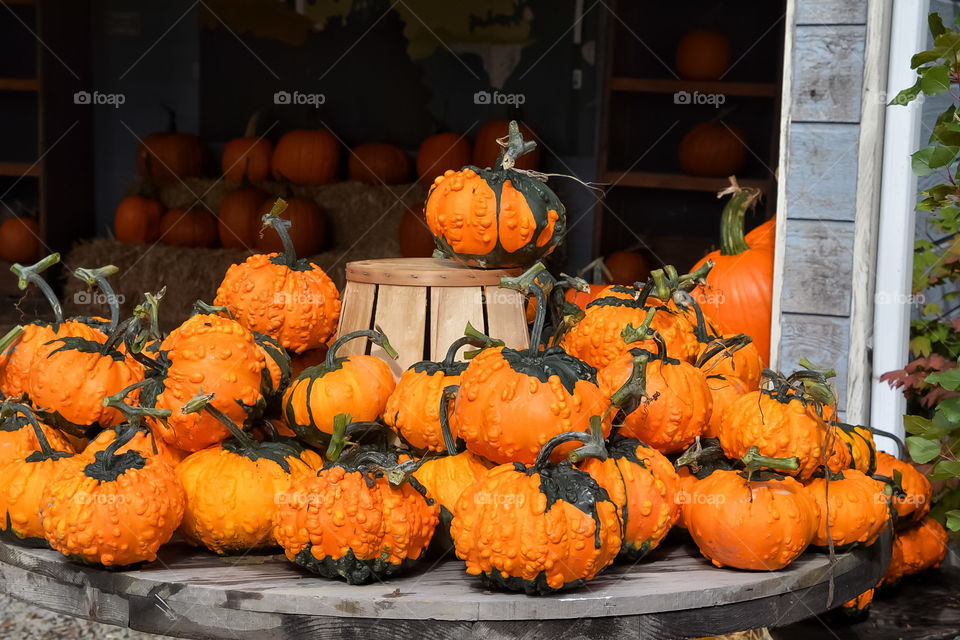 Colorful pumpkin display