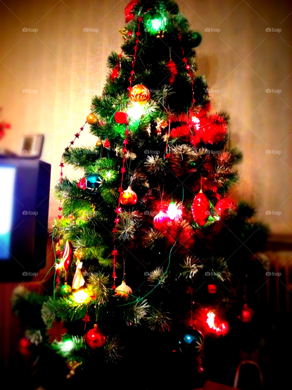 Christmas, Winter, Celebration, Merry, Pine