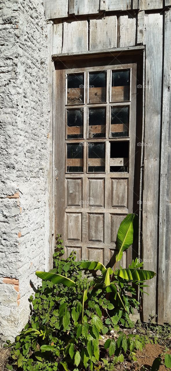 A porta que muito abriu,muito acolheu... E se fechou.  E agora tem o verde de sentinela... A beleza dos contrastes!
