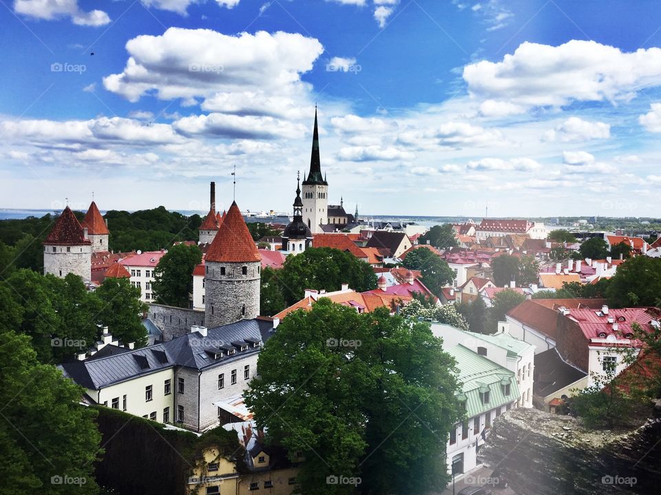 Eyes over Estonia 