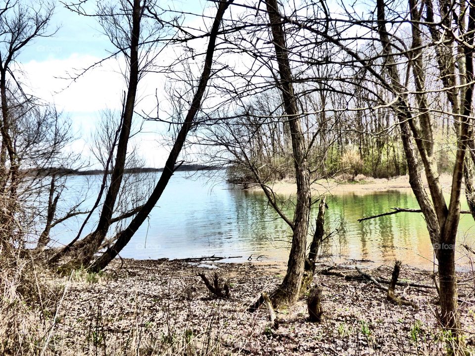 Beautiful view in Indiana 