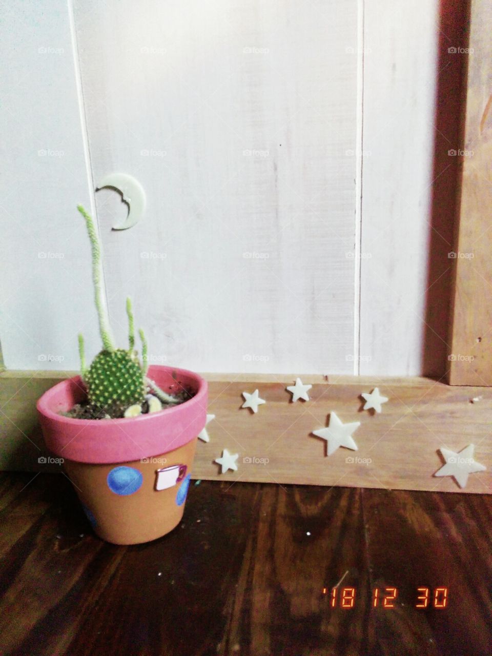 A cactus and some stars