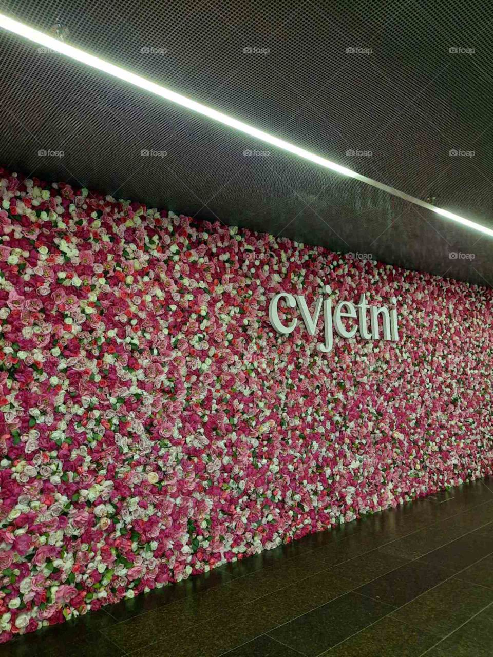 Flowers for remembering