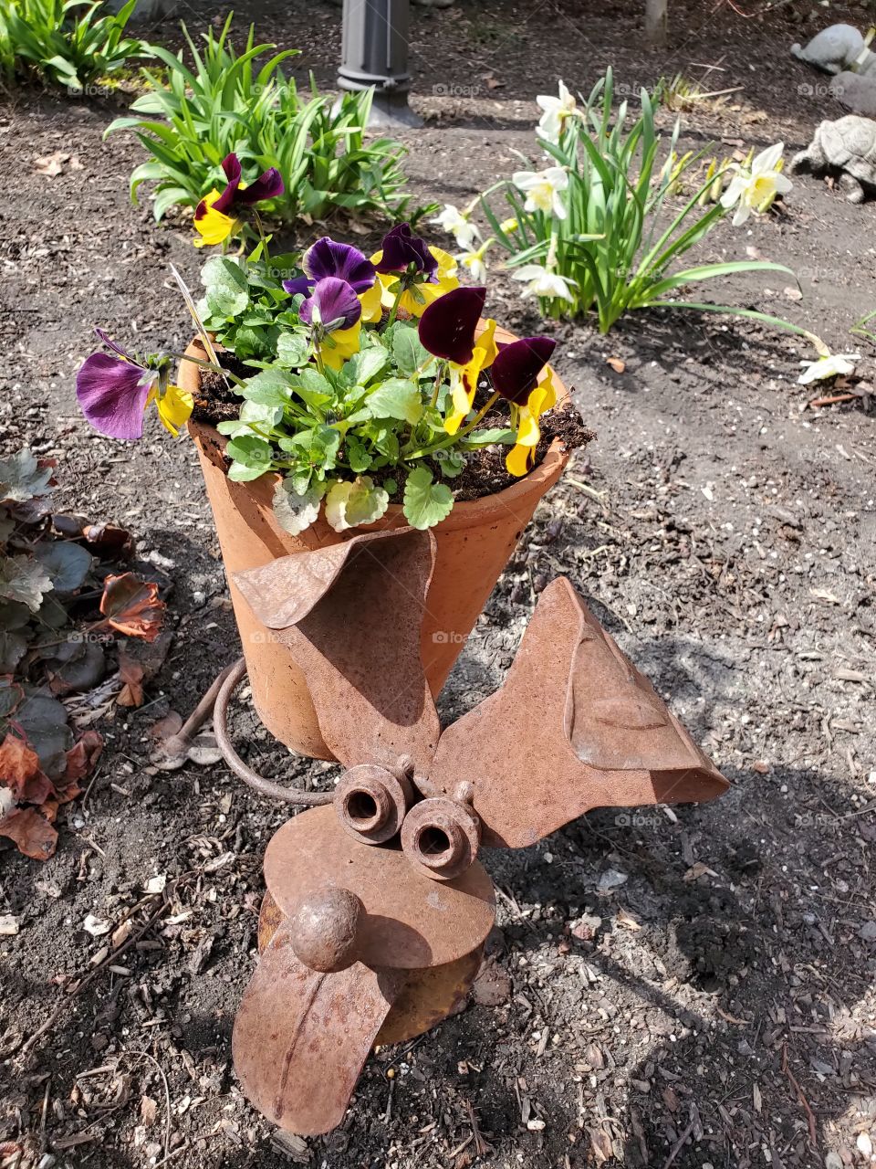 pot and flowers