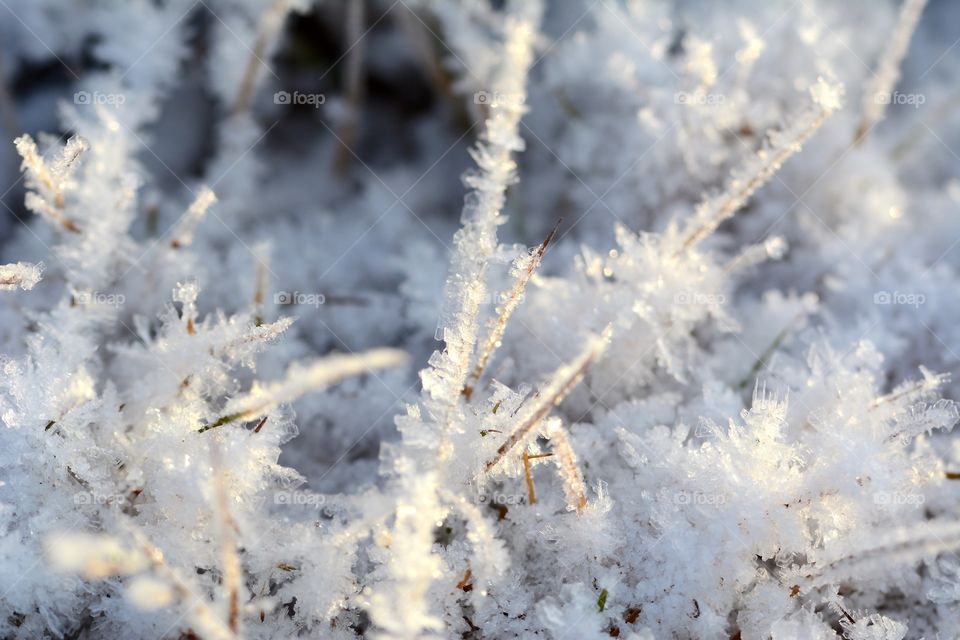 View of a frozen grass in winter