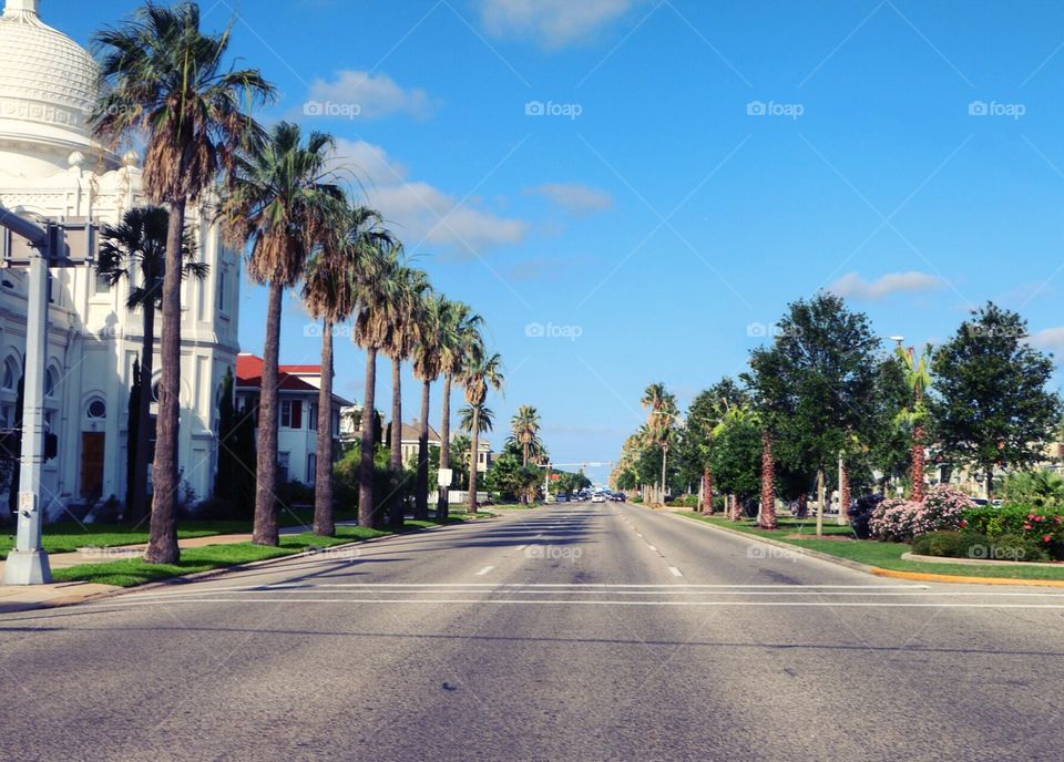 Street, Road, Travel, No Person, Pavement