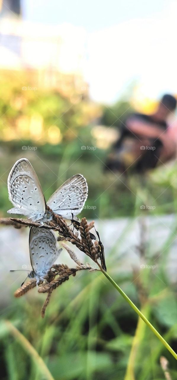 little ones🦋😍😍😍