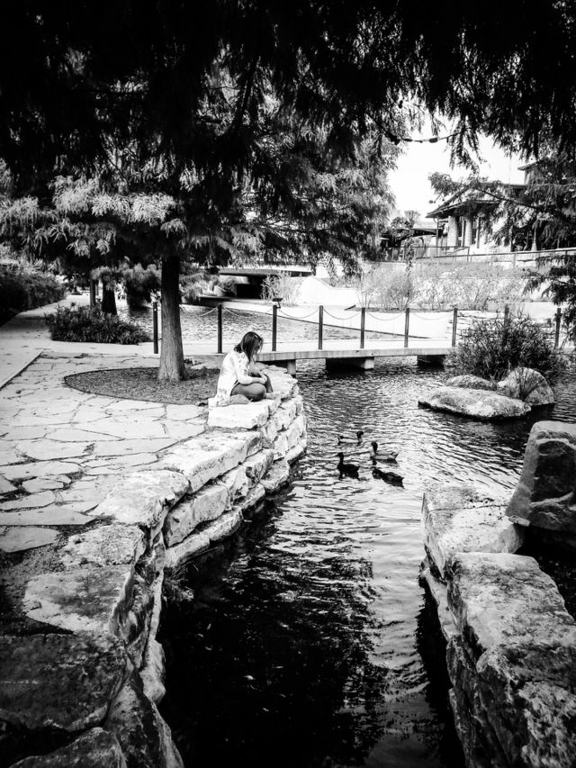 Feeding the ducks