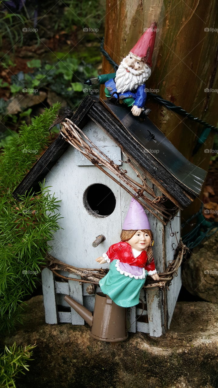 the gnome home