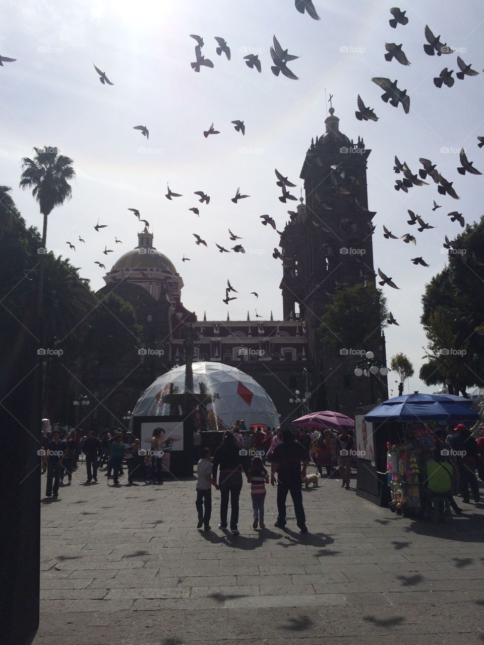 Catedral de Puebla, México 