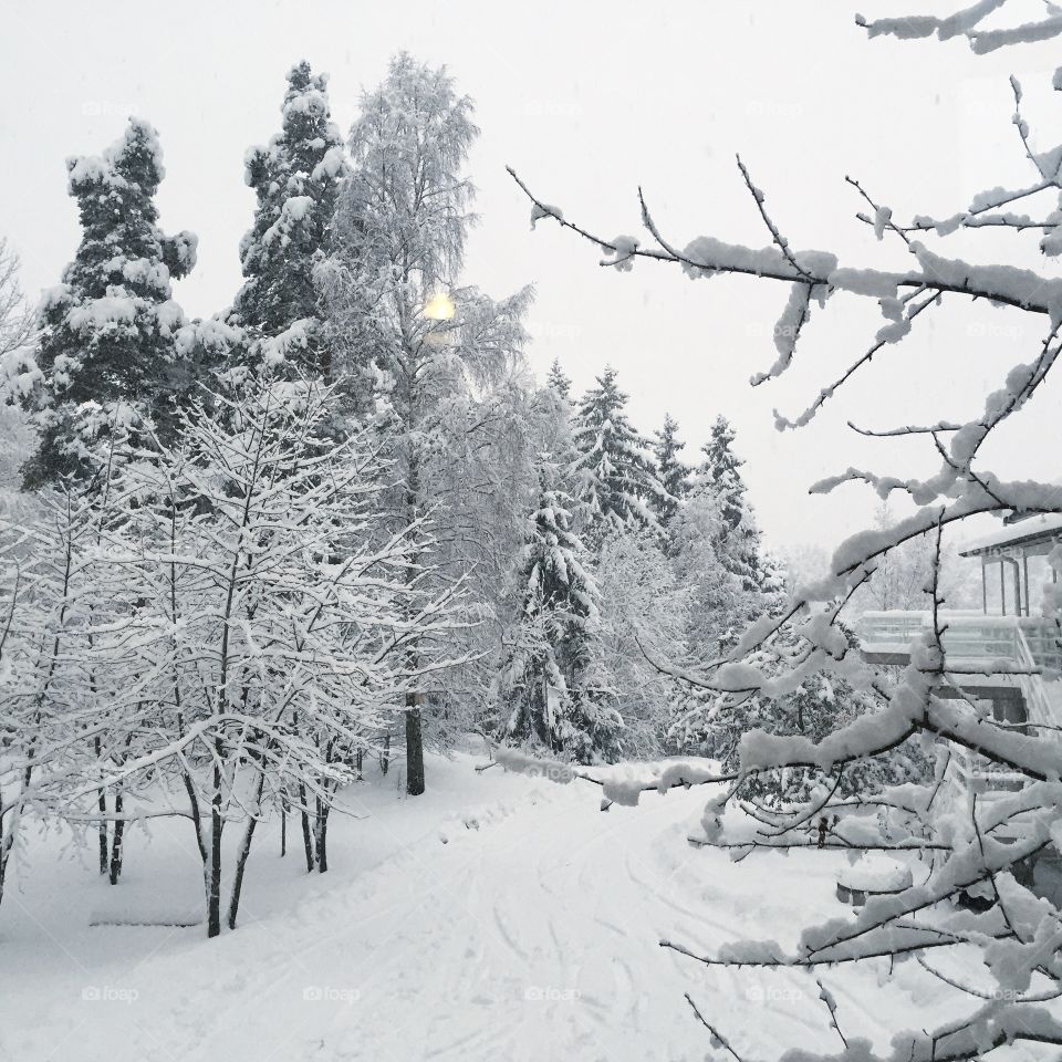 Winter in sweden