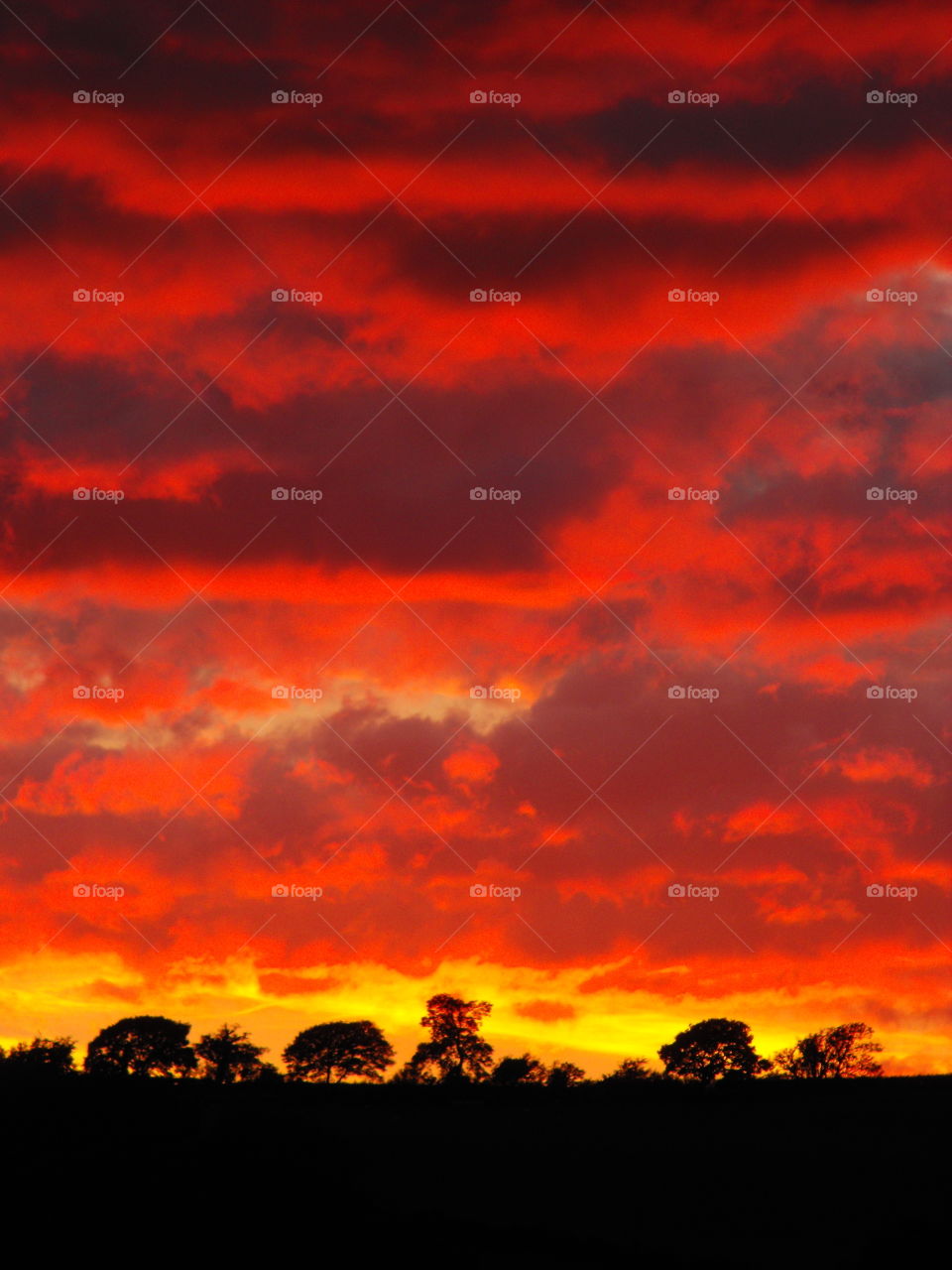 Fiery Red Sunset in Newtown Powys Wales