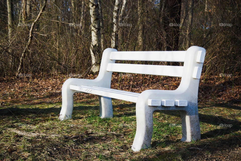 White Bench