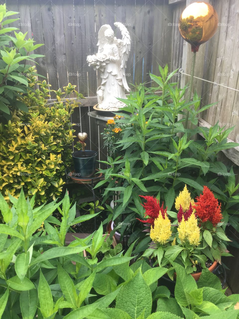 Floral Garden in May 