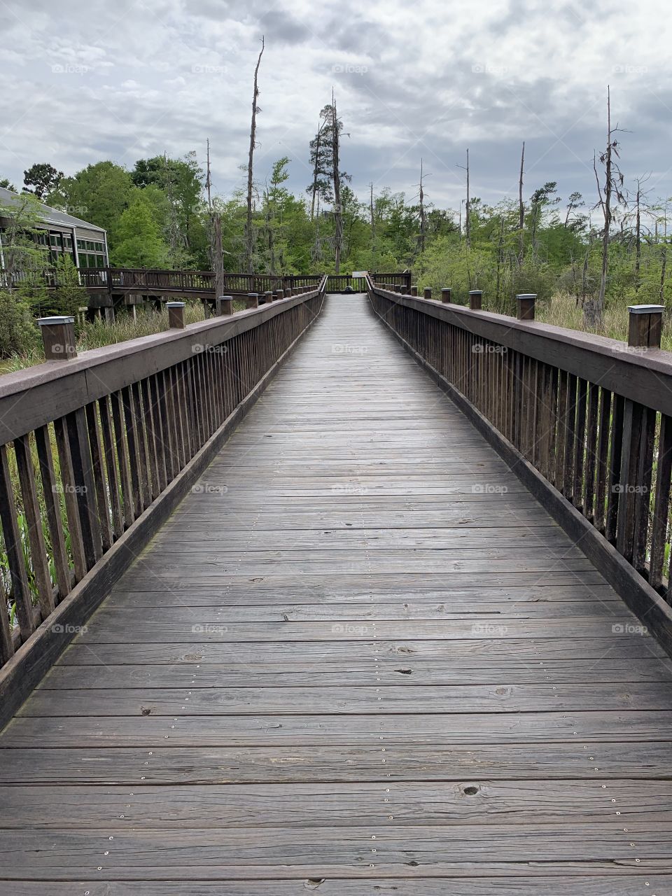 Boardwalk 