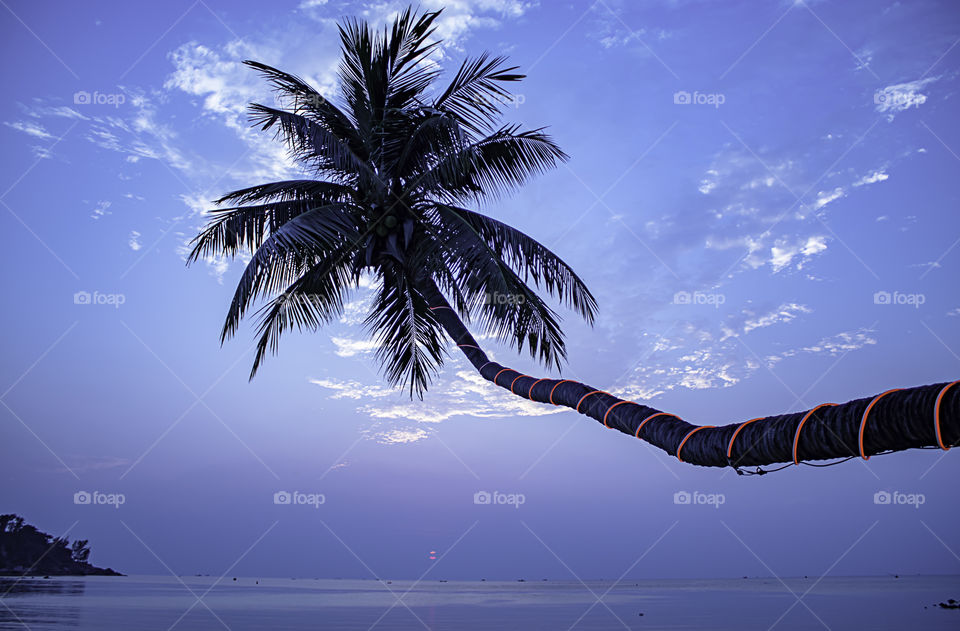 The beauty of the sunset sea under coconut palms at Haad salad Beach , koh Phangan